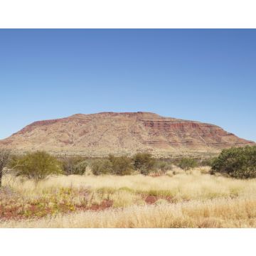 Lais Puzzle - Trockene, rote Felslandschaften in der Dales Gorge im Karijini National Park in der Hamersley Range in Westaustralien - 40, 100, 200, 500, 1.000 & 2.000 Teile