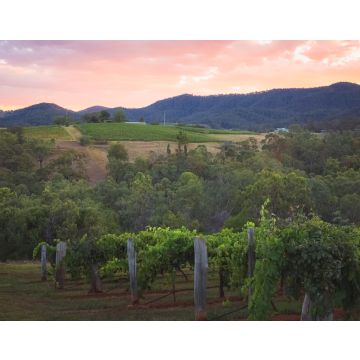 Lais Puzzle - Ein farbenprächtiger Sonnenuntergang oder Sonnenaufgang über einer malerischen ländlichen Landschaft und einem Weinberg in der Region Hunter Valley, dem berühmten Weinland in NSW, Australien - 40, 100, 200, 500, 1.000 & 2.000 Teile
