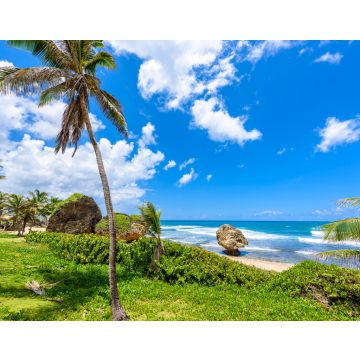 Lais Puzzle - Felsformation am Strand von Bathsheba, Ostküste der Insel Barbados, Karibische Inseln - Reiseziel für Urlaub - 40, 100, 200, 500, 1.000 & 2.000 Teile