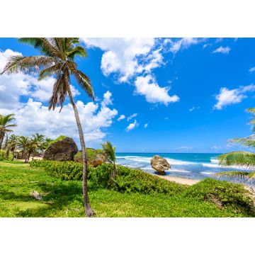 Lais Puzzle - Felsformation am Strand von Bathsheba, Ostküste der Insel Barbados, Karibische Inseln - Reiseziel für Urlaub - 1.000 Teile
