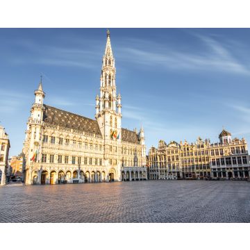 Lais Puzzle - Blick auf das Rathaus am Grand Place in der Altstadt von Brüssel während des sonnigen Wetters in Belgien - 40, 100, 200, 500, 1.000 & 2.000 Teile