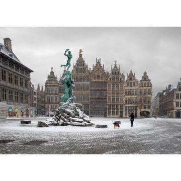 Lais Puzzle - Der "Grote Markt" in Antwerpen, bedeckt mit Schnee - 1.000 Teile