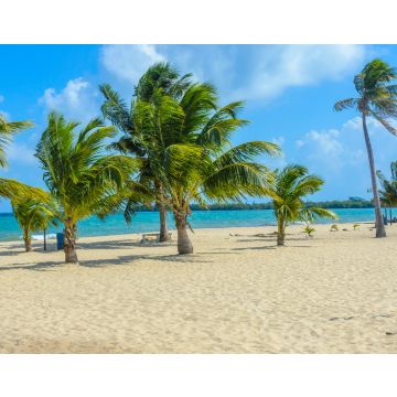 Lais Puzzle - Paradiesischer Strand in Placencia, tropische Küste von Belize, Karibisches Meer, Mittelamerika - 40, 100, 200, 500, 1.000 & 2.000 Teile