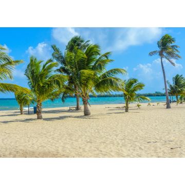 Lais Puzzle - Paradiesischer Strand in Placencia, tropische Küste von Belize, Karibisches Meer, Mittelamerika - 1.000 Teile