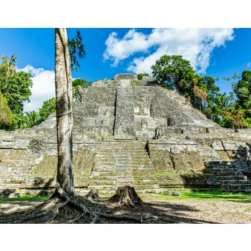 Lais Puzzle - Lamanai archäologisches Reservat Maya-Ruinen High Temple Belize - 40, 100, 200, 500, 1.000 & 2.000 Teile