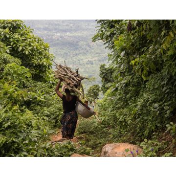 Lais Puzzle - bois ramassé pour une cérémonie au bénin - 40, 100, 200, 500, 1.000 & 2.000 Teile