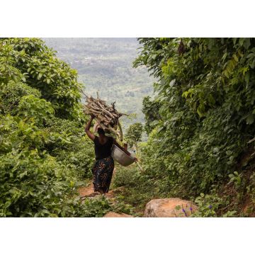 Lais Puzzle - bois ramassé pour une cérémonie au bénin - 1.000 Teile
