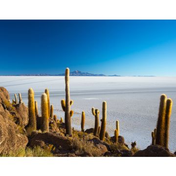 Lais Puzzle - Die Salzwüste von Uyuni in den bolivianischen Anden bei Sonnenaufgang - 40, 100, 200, 500, 1.000 & 2.000 Teile