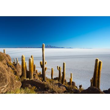 Lais Puzzle - Die Salzwüste von Uyuni in den bolivianischen Anden bei Sonnenaufgang - 1.000 Teile