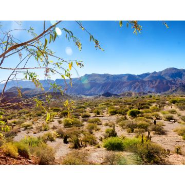 Lais Puzzle - Tupiza, Bolivien Landschaft - 40, 100, 200, 500, 1.000 & 2.000 Teile