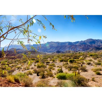 Lais Puzzle - Tupiza, Bolivien Landschaft - 1.000 Teile