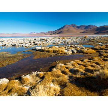 Lais Puzzle - Laguna Colorada - Lagune mit rotem Wasser. Bolivien. Südamerika - 40, 100, 200, 500, 1.000 & 2.000 Teile