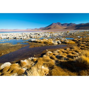 Lais Puzzle - Laguna Colorada - Lagune mit rotem Wasser. Bolivien. Südamerika - 1.000 Teile