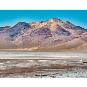 Lais Puzzle - Laguna Colorada in Bolivien, Erstaunliche Landschaft - 40, 100, 200, 500, 1.000 & 2.000 Teile