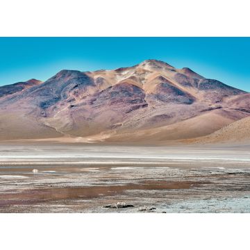 Lais Puzzle - Laguna Colorada in Bolivien, Erstaunliche Landschaft - 1.000 Teile