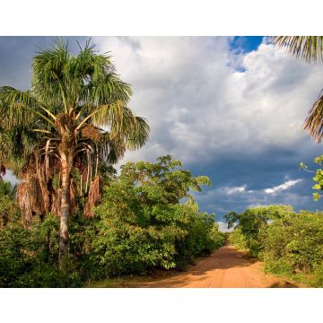 Lais Puzzle - Brasilianische Landstraße in der Wüste von Jalapão im Bundesstaat Tocantins - 40, 100, 200, 500, 1.000 & 2.000 Teile
