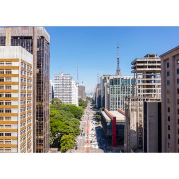 Lais Puzzle - Avenida Paulista in der Nähe des Trianon-Parks, Sao Paulo, Brasilien - 1.000 Teile