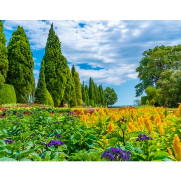 Lais Puzzle - Botanischer Garten des Schlosses Balchik in Bulgarien - 40, 100, 200, 500, 1.000 & 2.000 Teile