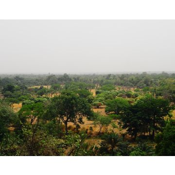 Lais Puzzle - Bauernhof in Afrique de l'Ouest (Burkina Faso) - 40, 100, 200, 500, 1.000 & 2.000 Teile