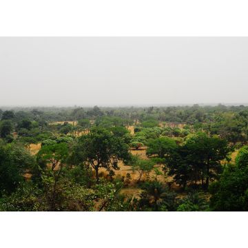 Lais Puzzle - Bauernhof in Afrique de l'Ouest (Burkina Faso) - 1.000 Teile