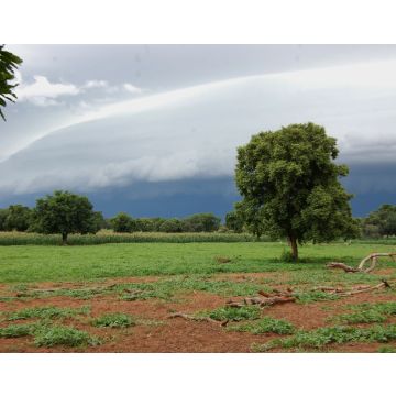 Lais Puzzle - la pluie va bientot arrosé les cultures en saison pluvieuses. U burkina faso - 40, 100, 200, 500, 1.000 & 2.000 Teile