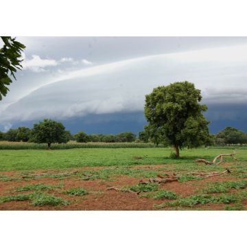 Lais Puzzle - la pluie va bientot arrosé les cultures en saison pluvieuses. U burkina faso - 1.000 Teile