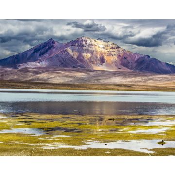 Lais Puzzle - Der Chungara-See, überragt vom Vulkan Parinacota. Ein Panoramablick auf das chilenische "Altiplano" im Inneren der Anden - 40, 100, 200, 500, 1.000 & 2.000 Teile