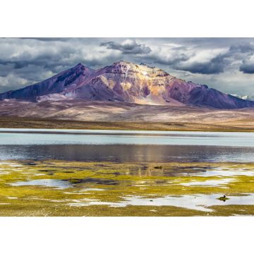 Lais Puzzle - Der Chungara-See, überragt vom Vulkan Parinacota. Ein Panoramablick auf das chilenische "Altiplano" im Inneren der Anden - 1.000 Teile