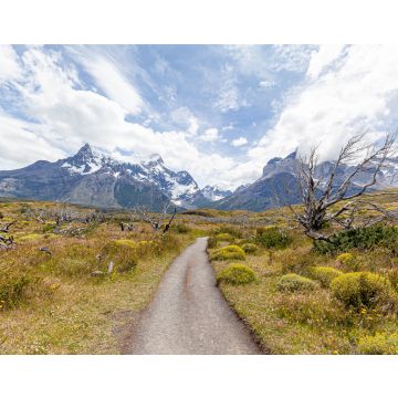 Lais Puzzle - Landschaft der "Los Cuernos" (die Hörner) - Torres del Paine National Park - 40, 100, 200, 500, 1.000 & 2.000 Teile