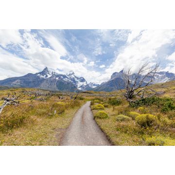 Lais Puzzle - Landschaft der "Los Cuernos" (die Hörner) - Torres del Paine National Park - 2.000 Teile