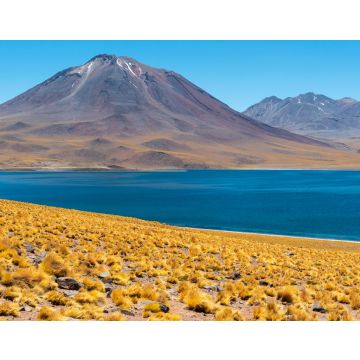 Lais Puzzle - Panorama der Lagune Miscanti in den Anden, Atacama-Wüste, Chile - 40, 100, 200, 500, 1.000 & 2.000 Teile