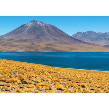 Lais Puzzle - Panorama der Lagune Miscanti in den Anden, Atacama-Wüste, Chile - 1.000 Teile