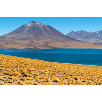 Lais Puzzle - Panorama der Lagune Miscanti in den Anden, Atacama-Wüste, Chile - 2.000 Teile