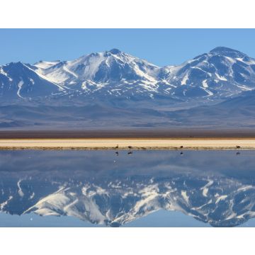 Lais Puzzle - Schneebedeckter Nevado (Vulkan) Tres Cruces, der sich in einem hochgelegenen See Laguna Santa Rosa im Parque Nacional Nevado de Tres Cruces, Chile Anden, Atacama-Wüste - 40, 100, 200, 500, 1.000 & 2.000 Teile