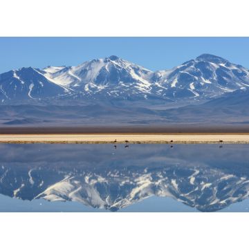 Lais Puzzle - Schneebedeckter Nevado (Vulkan) Tres Cruces, der sich in einem hochgelegenen See Laguna Santa Rosa im Parque Nacional Nevado de Tres Cruces, Chile Anden, Atacama-Wüste - 1.000 Teile