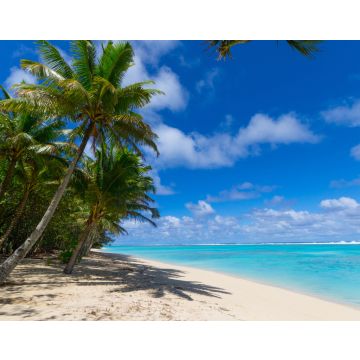 Lais Puzzle - Weißer Strand auf einer einsamen Insel in Rarotonga, Cookinseln - 40, 100, 200, 500, 1.000 & 2.000 Teile