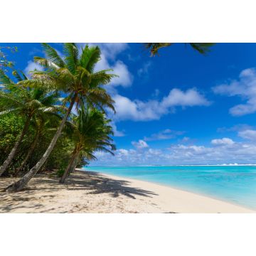Lais Puzzle - Weißer Strand auf einer einsamen Insel in Rarotonga, Cookinseln - 2.000 Teile