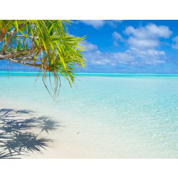 Lais Puzzle - Palmenwedel am weißen Strand und wunderschönes türkisfarbenes Wasser auf der einsamen Insel One Foot Island, Aitutaki, Cookinseln - 40, 100, 200, 500, 1.000 & 2.000 Teile
