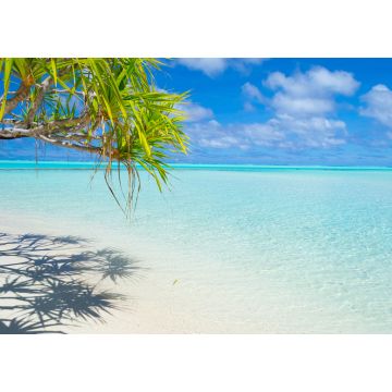 Lais Puzzle - Palmenwedel am weißen Strand und wunderschönes türkisfarbenes Wasser auf der einsamen Insel One Foot Island, Aitutaki, Cookinseln - 1.000 Teile