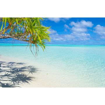 Lais Puzzle - Palmenwedel am weißen Strand und wunderschönes türkisfarbenes Wasser auf der einsamen Insel One Foot Island, Aitutaki, Cookinseln - 2.000 Teile