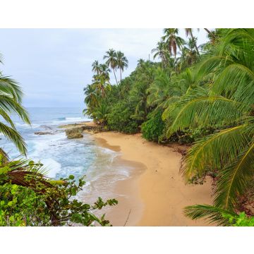 Lais Puzzle - Idyllischer Strand Manzanillo Costa Rica - 40, 100, 200, 500, 1.000 & 2.000 Teile