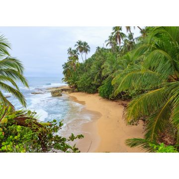 Lais Puzzle - Idyllischer Strand Manzanillo Costa Rica - 1.000 Teile