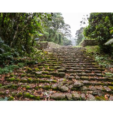 Lais Puzzle - Guayabo Nationaldenkmal, Costa Rica - 40, 100, 200, 500, 1.000 & 2.000 Teile