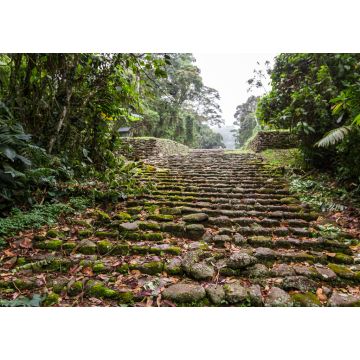 Lais Puzzle - Guayabo Nationaldenkmal, Costa Rica - 1.000 Teile