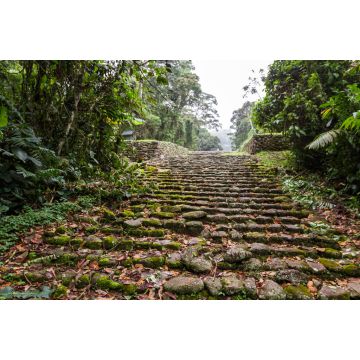 Lais Puzzle - Guayabo Nationaldenkmal, Costa Rica - 2.000 Teile