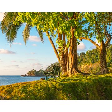Lais Puzzle - Eine leere Bank unter einem tropischen Baum bei Sonnenuntergang vor dem Pazifischen Ozean im feuchten Regenwald, Corcovado-Nationalpark, Osa-Halbinsel, Costa Rica - 40, 100, 200, 500, 1.000 & 2.000 Teile
