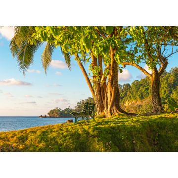 Lais Puzzle - Eine leere Bank unter einem tropischen Baum bei Sonnenuntergang vor dem Pazifischen Ozean im feuchten Regenwald, Corcovado-Nationalpark, Osa-Halbinsel, Costa Rica - 1.000 Teile