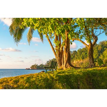 Lais Puzzle - Eine leere Bank unter einem tropischen Baum bei Sonnenuntergang vor dem Pazifischen Ozean im feuchten Regenwald, Corcovado-Nationalpark, Osa-Halbinsel, Costa Rica - 2.000 Teile