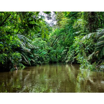 Lais Puzzle - Wunderschöne üppig grüne tropische Dschungellandschaft von einem Boot aus gesehen im Tortuguero-Nationalpark in Costa Rica - 40, 100, 200, 500, 1.000 & 2.000 Teile