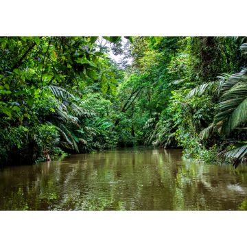 Lais Puzzle - Wunderschöne üppig grüne tropische Dschungellandschaft von einem Boot aus gesehen im Tortuguero-Nationalpark in Costa Rica - 1.000 Teile